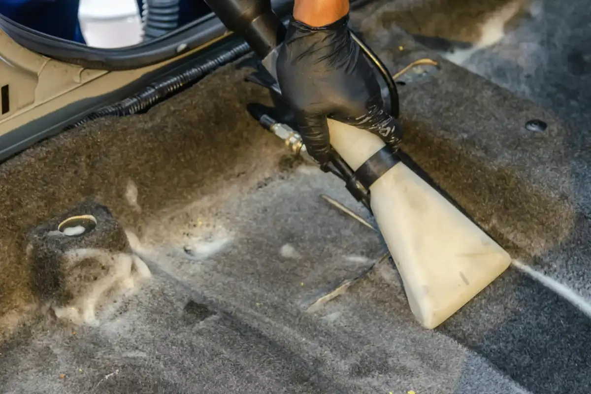 How to remove mold from car interior