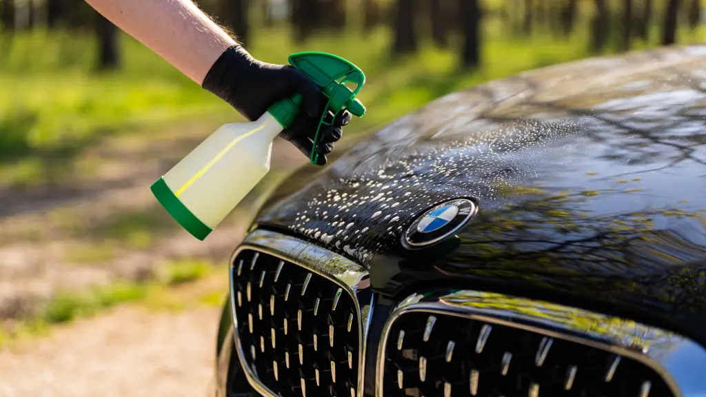 Pre-Wash (Bug & Grime Remover)