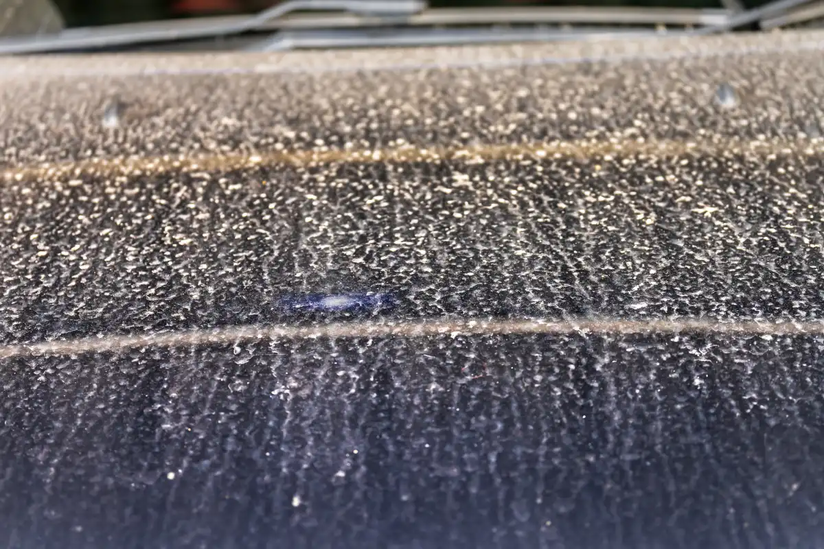 How To Remove Tree Sap From Car